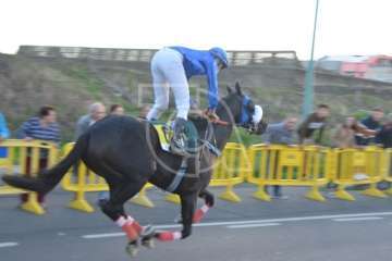 Carreras de caballo de San Gregorio Taumaturgo 2018